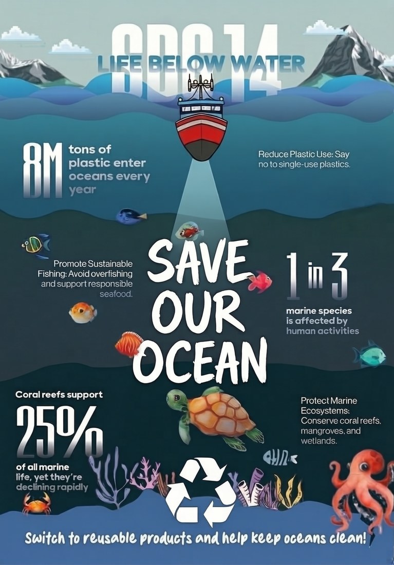 海洋生物右.jpg